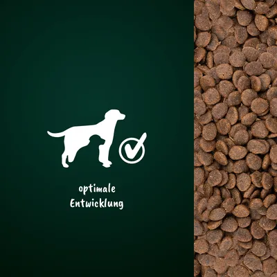 Symbol eines Hundes mit Text 'optimale Entwicklung' und Häkchen, daneben Nahaufnahme von braunen Trockenfutterstücken.