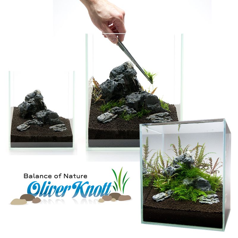 Sparpaket: 3 x 10 L Nature Soil