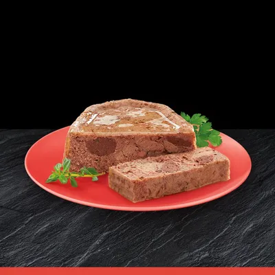 Trancio di alimento umido per animali su piatto rosso, con fetta tagliata e decorazione di erbe fresche visibili accanto.