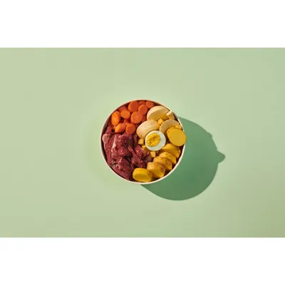Bowl containing sliced carrots, raw meat pieces, boiled egg halves, and sliced yellow vegetables, showing visible ingredients of the pet food product.