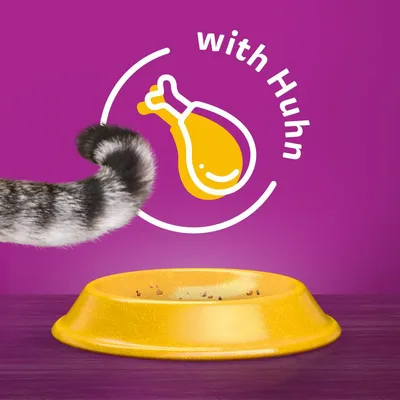 Gelber Futternapf mit Resten, Katzenpfote sichtbar. Text: 'with Huhn' und Symbol eines Hähnchenschenkels auf violettem Hintergrund.
