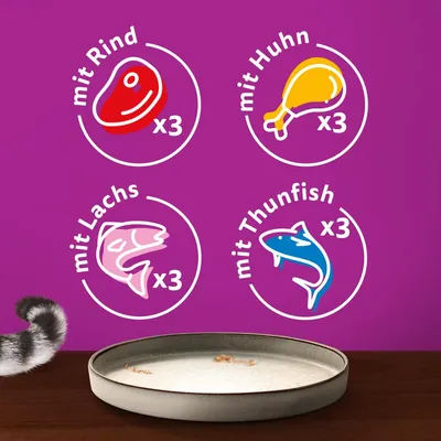 Texte en allemand : mit Rind x3, mit Huhn x3, mit Lachs x3, mit Thunfish x3, avec illustrations de viande, poulet, saumon et thon. Assiette vide et queue de chat visibles.