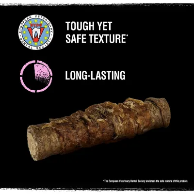 Dog chew with European Veterinary Dental Society badge, text: TOUGH YET SAFE TEXTURE*, LONG-LASTING. Note: EVDS endorses the safe texture of this product.