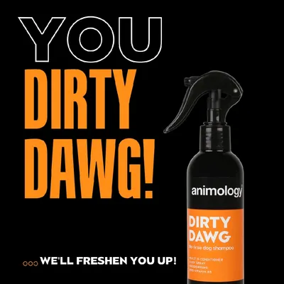 Animology Dirty Dawg no rinse dog shampoo bottle with text: 'You Dirty Dawg! We'll freshen you up!' and product features including built-in conditioner, easy spray, deodorising, pro vitamin B5.