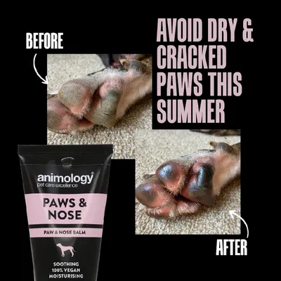 Before and after images of a paw showing improvement in dryness and cracks, with Animology Paws & Nose balm tube and text: Avoid dry & cracked paws this summer.