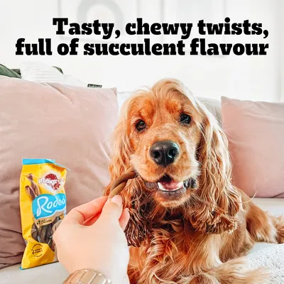 Pedigree Rodeo dog treats pack, person holding treat to brown dog. Text: Tasty, chewy twists, full of succulent flavour.