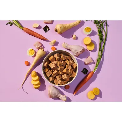Bowl of cubed pet food surrounded by visible ingredients including carrots, parsnips, potatoes, eggs, chicken drumsticks and pieces, on a purple background.