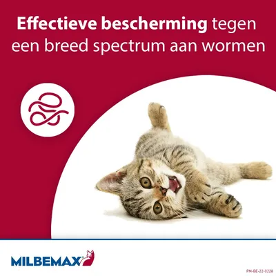 Milbemax Kleine Kat (NL)