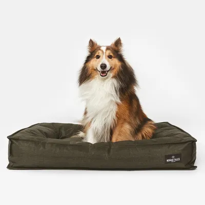 Hundebett in Olivgrün mit Nomad Tales Logo auf der Seite.