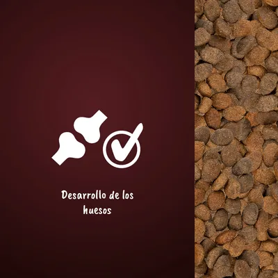 Texto: Desarrollo de los huesos. Iconos de dos huesos y un símbolo de verificación junto a croquetas de pienso marrón.