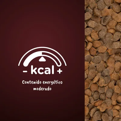 Pienso en croquetas junto a gráfico con texto: '- kcal + Contenido energético moderado'.