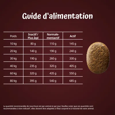 Guide d’alimentation : tableau des quantités journalières selon poids du chien (10 à 80 kg) et niveau d’activité, de 80 g à 685 g. Croquette visible à droite.