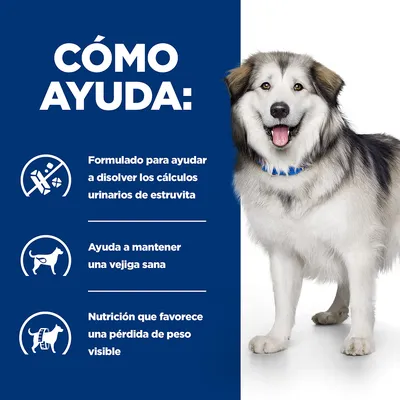 CÓMO AYUDA: Formulado para ayudar a disolver los cálculos urinarios de estruvita. Ayuda a mantener una vejiga sana. Nutrición que favorece una pérdida de peso visible.