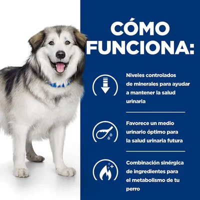 Texto: Cómo funciona. Niveles controlados de minerales para ayudar a mantener la salud urinaria. Favorece un medio urinario óptimo. Combinación sinérgica de ingredientes para el metabolismo.