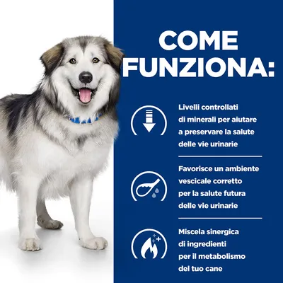 COME FUNZIONA: livelli controllati di minerali per la salute delle vie urinarie, ambiente vescicale corretto, miscela sinergica di ingredienti per il metabolismo del cane.