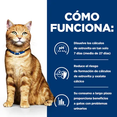 Texto: Cómo funciona. Disuelve los cálculos de estruvita en tan solo 7 días (media de 27 días). Reduce el riesgo de formación de cálculos de estruvita y oxalato cálcico. Beneficios para gatos con problemas urinarios.