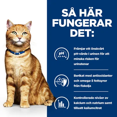 Så här fungerar det: Främjar önskat pH-värde i urinen, berikat med antioxidanter och omega-3 från fiskolja, kontrollerade nivåer av kalcium, natrium och tillsatt kaliumcitrat.