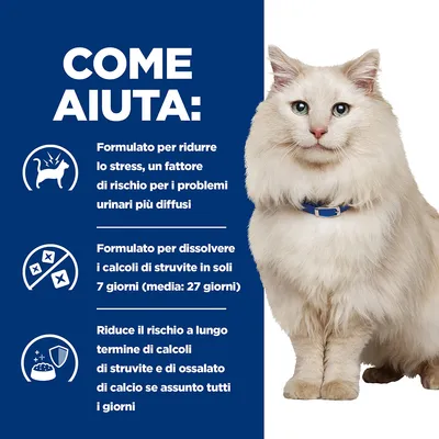 COME AIUTA: formulato per ridurre lo stress, dissolvere i calcoli di struvite in 7 giorni e ridurre il rischio di calcoli se assunto tutti i giorni. Testo in italiano.