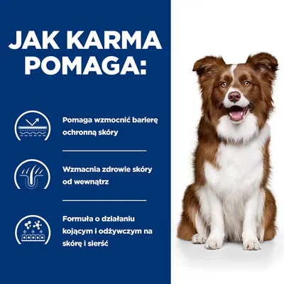 Jak karma pomaga: wzmacnia barierę ochronną skóry, zdrowie skóry od wewnątrz, formuła kojąca i odżywcza na skórę i sierść. Obok siedzi pies.