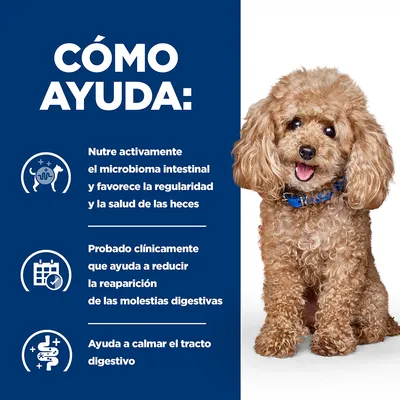 Text în limba spaniolă: 'CÓMO AYUDA: Nutre activamente el microbioma intestinal y favorece la regularidad y la salud de las heces. Probado clínicamente que ayuda a reducir la reaparición de las molestias digestivas. Ayuda a calmar el tracto digestivo.'