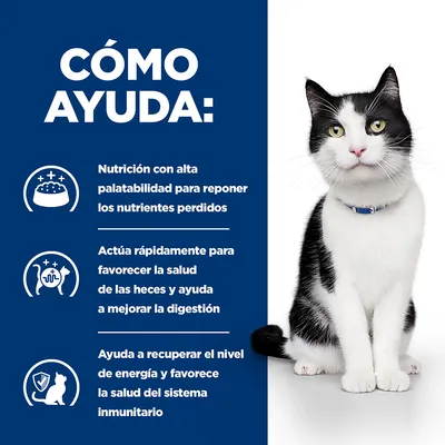 CÓMO AYUDA: Nutrición con alta palatabilidad para reponer nutrientes, favorece la salud de las heces y digestión, ayuda a recuperar energía y sistema inmunitario. Imagen de un gato.