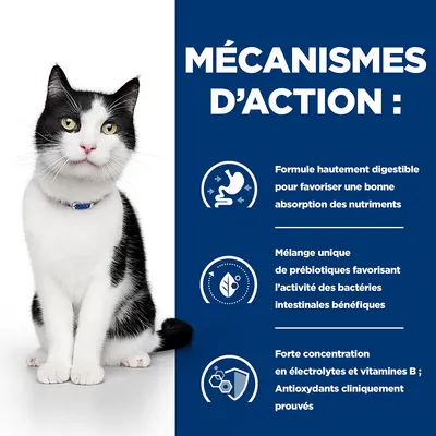 MÉCANISMES D’ACTION : Formule hautement digestible, mélange unique de prébiotiques, forte concentration en électrolytes et vitamines B, antioxydants cliniquement prouvés.