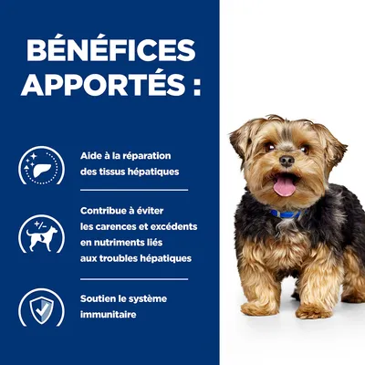 BÉNÉFICES APPORTÉS : Aide à la réparation des tissus hépatiques, contribue à éviter les carences et excédents en nutriments liés aux troubles hépatiques, soutien le système immunitaire.