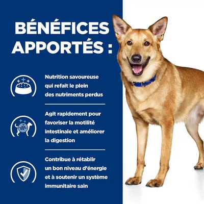 BÉNÉFICES APPORTÉS : Nutrition savoureuse, agit rapidement pour la motilité intestinale et digestion, contribue à l’énergie et au système immunitaire sain. Texte en fr_BE.