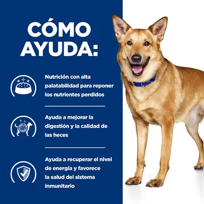 CÓMO AYUDA: Nutrición con alta palatabilidad para reponer los nutrientes perdidos. Ayuda a mejorar la digestión y la calidad de las heces. Ayuda a recuperar energía y salud inmunitaria. CÓMO AYUDA: Nutrición con alta palatabilidad para reponer los nutrientes perdidos. Ayuda a mejorar la digestión y la calidad de las heces. Ayuda a recuperar energía y salud inmunitaria.