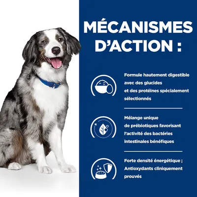 MÉCANISMES D’ACTION : Formule hautement digestible avec des glucides et des protéines spécialement sélectionnés ; mélange unique de prébiotiques ; forte densité énergétique, antioxydants prouvés.