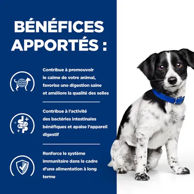 BÉNÉFICES APPORTÉS : calme, digestion saine, qualité des selles, activité des bactéries intestinales, appareil digestif apaisé, renforcement du système immunitaire à long terme. BÉNÉFICES APPORTÉS : calme, digestion saine, qualité des selles, activité des bactéries intestinales, appareil digestif apaisé, renforcement du système immunitaire à long terme.