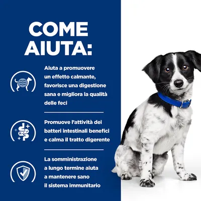COME AIUTA: Aiuta a promuovere un effetto calmante, favorisce una digestione sana e migliora la qualità delle feci. Promuove l’attività dei batteri intestinali benefici e calma il tratto digerente. La somministrazione a lungo termine aiuta a mantenere sano il sistema immunitario.