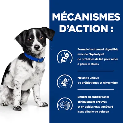 MÉCANISMES D’ACTION : Formule hautement digestible avec hydrolysat de protéines de lait, mélange unique de prébiotiques et gingembre, enrichi en antioxydants et Oméga-3 d’huile de poisson. MÉCANISMES D’ACTION : Formule hautement digestible avec hydrolysat de protéines de lait, mélange unique de prébiotiques et gingembre, enrichi en antioxydants et Oméga-3 d’huile de poisson.
