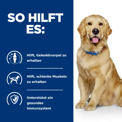 So hilft es: Hilft, Gelenkknorpel zu erhalten. Hilft, schlanke Muskeln zu erhalten. Unterstützt ein gesundes Immunsystem.