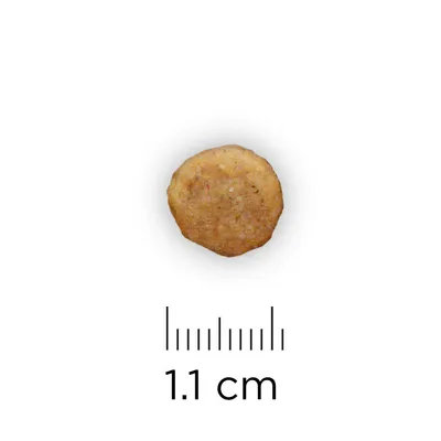 Кръгла гранула с диаметър 1,1 см, показана до линийка за размер.