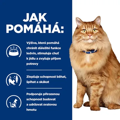 Text v češtine: Jak pomáhá: Výživa, která pomáhá chránit důležité funkce ledvin, stimuluje chuť k jídlu a zvyšuje příjem potravy, zlepšuje schopnost běhat, šplhat a skákat, podporuje svalovú hmotu.