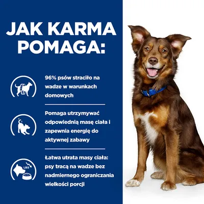 Jak karma pomaga: 96% psów straciło na wadze w warunkach domowych. Pomaga utrzymywać odpowiednią masę ciała i energię do zabawy. Łatwa utrata masy ciała bez ograniczania porcji.