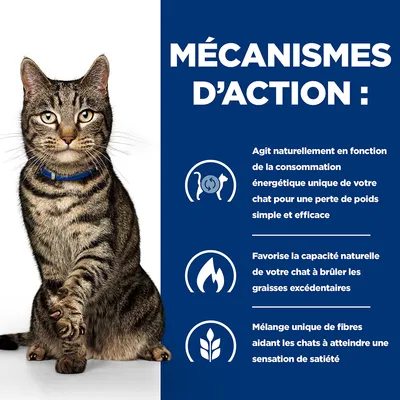 MÉCANISMES D’ACTION : agit selon la consommation énergétique du chat, favorise la combustion des graisses, mélange de fibres pour la satiété. Texte en français belge.