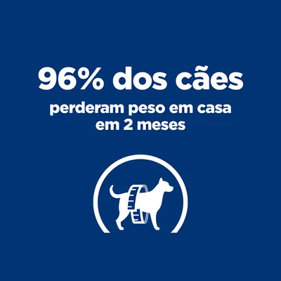 96% dos cães perderam peso em casa em 2 meses