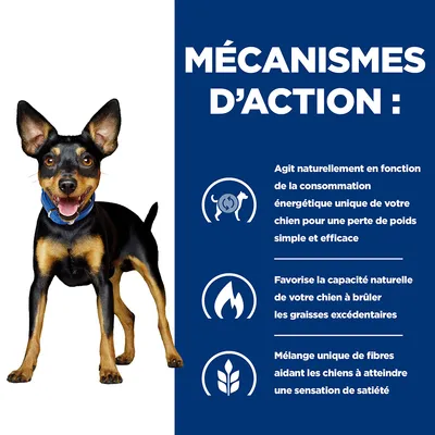 MÉCANISMES D’ACTION : Agit selon la consommation énergétique du chien, favorise la combustion des graisses et mélange de fibres pour la satiété. Texte en français belge.
