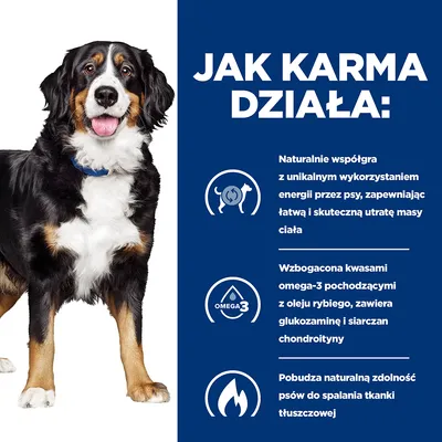 Jak karma działa: naturalnie wspomaga utratę masy ciała, zawiera kwasy omega-3 z oleju rybiego, glukozaminę i siarczan chondroityny, pobudza spalanie tkanki tłuszczowej u psów.
