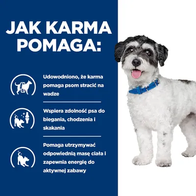 Jak karma pomaga: udowodniono, że karma pomaga psom stracić na wadze, wspiera zdolność psa do biegania, chodzenia i skakania, pomaga utrzymać masę ciała i energię do zabawy.