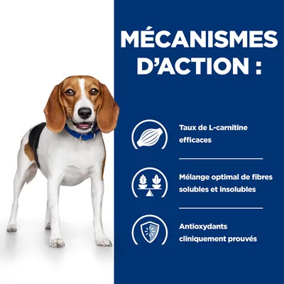 MÉCANISMES D’ACTION : Taux de L-carnitine efficaces, mélange optimal de fibres solubles et insolubles, antioxydants cliniquement prouvés