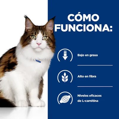 CÓMO FUNCIONA: Bajo en grasa, alto en fibra, niveles eficaces de L-carnitina. Imagen de un gato junto a iconos explicativos.