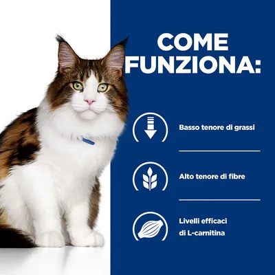 COME FUNZIONA: Basso tenore di grassi, alto tenore di fibre, livelli efficaci di L-carnitina. Gatto a sinistra, testo informativo a destra su sfondo blu.