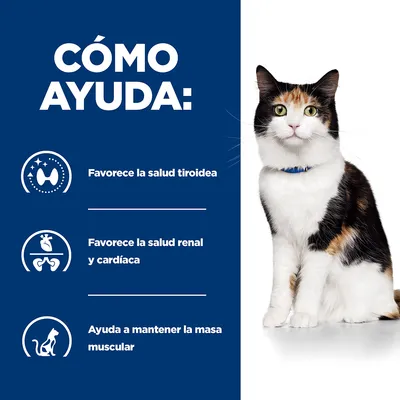 Texto: Cómo ayuda. Favorece la salud tiroidea. Favorece la salud renal y cardíaca. Ayuda a mantener la masa muscular. Incluye iconos relacionados y un gato sentado.