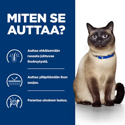 Teksti: Miten se auttaa? Auttaa ehkäisemään ruoasta johtuvaa ihoärsytystä. Auttaa ylläpitämään ihon suojaa. Parantaa ulosteen laatua. Kuvassa siamilaiskissa sinisellä pannalla.