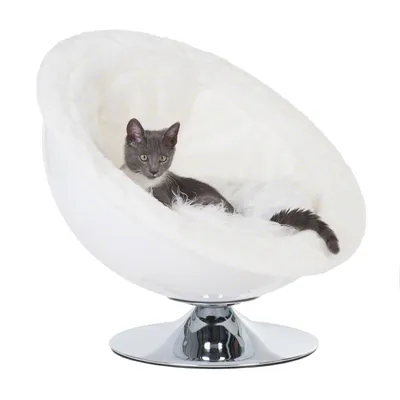 Grey cat sitting in a white, round cat bed with soft padding and shiny metal base.