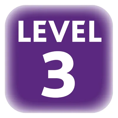 LEVEL 3 (texte en anglais)