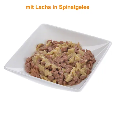 Tekst: mit Lachs in Spinatgelee. Stukjes natvoer met zalm en spinatgelei in een wit vierkant schaaltje.